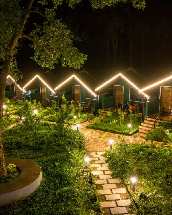 dandeli jungle vibes homestay top views