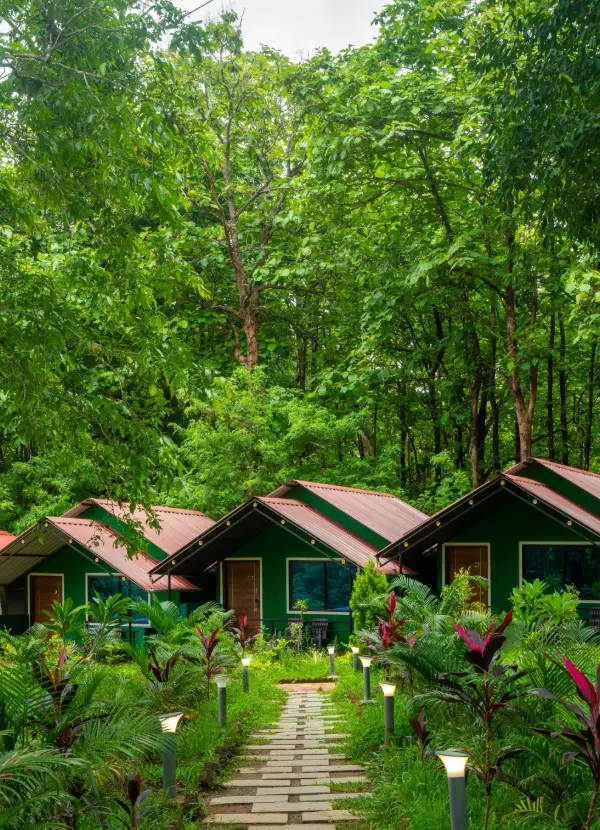 dandeli jungle vibes homestay 