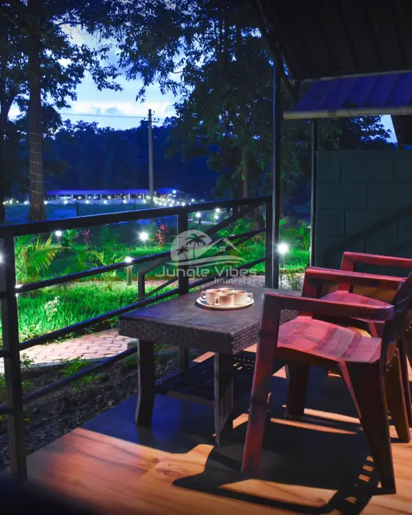 Dandeli jungle vibes photos 