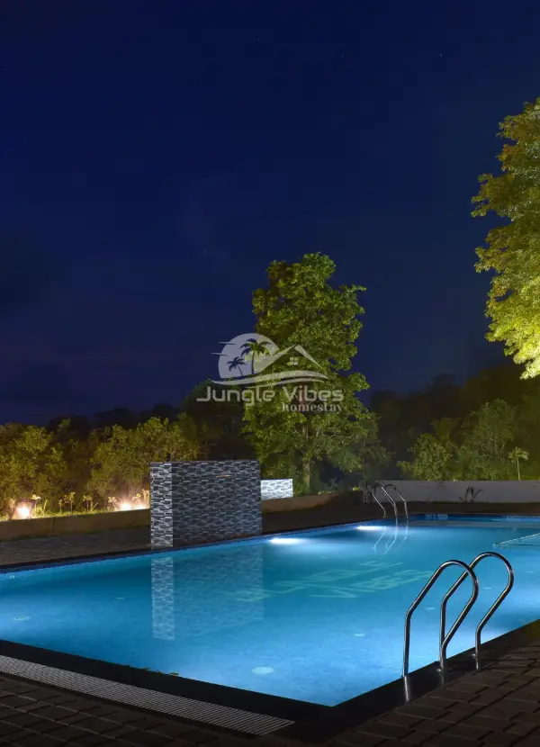 jungle vibes homestay photos 